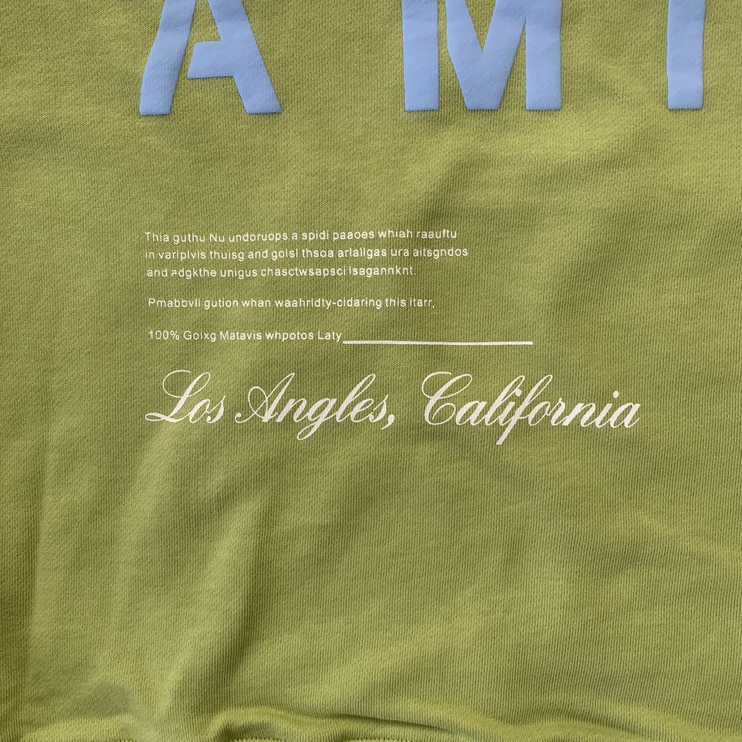 34_248  AMIRI  Hoodie