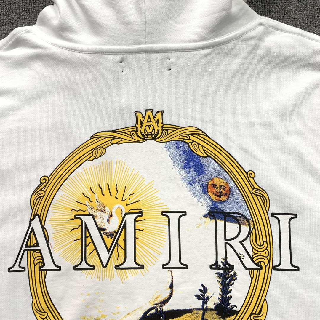 47_248 Amiri Hoodie