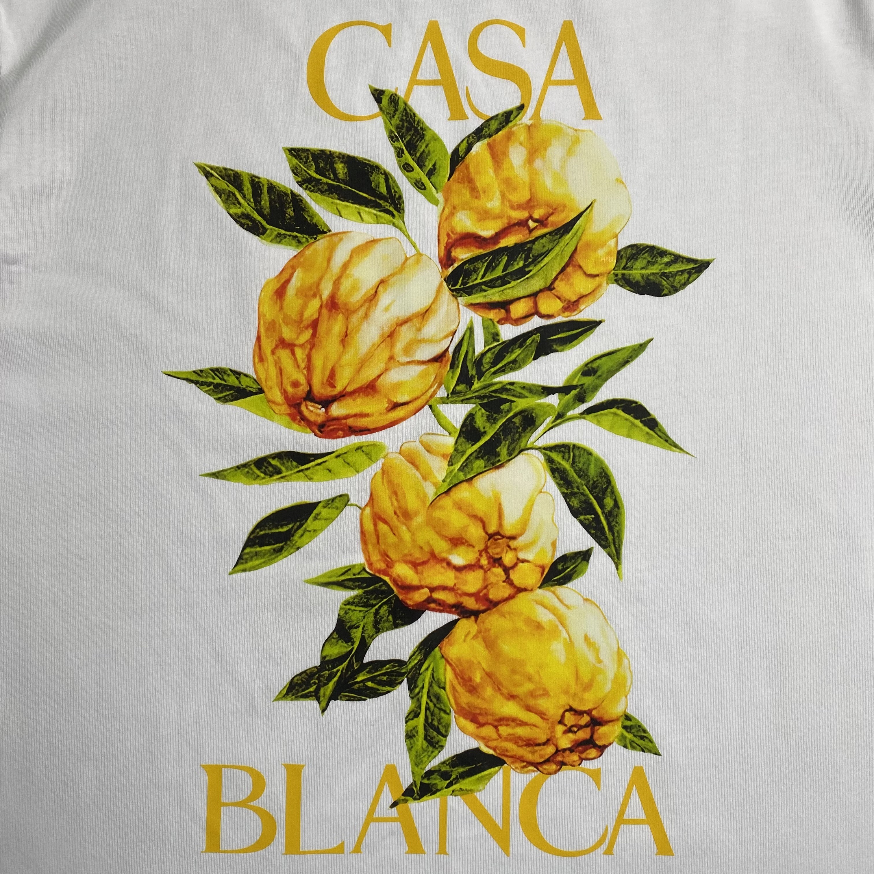 85_140 CASABLANCA T-shirt