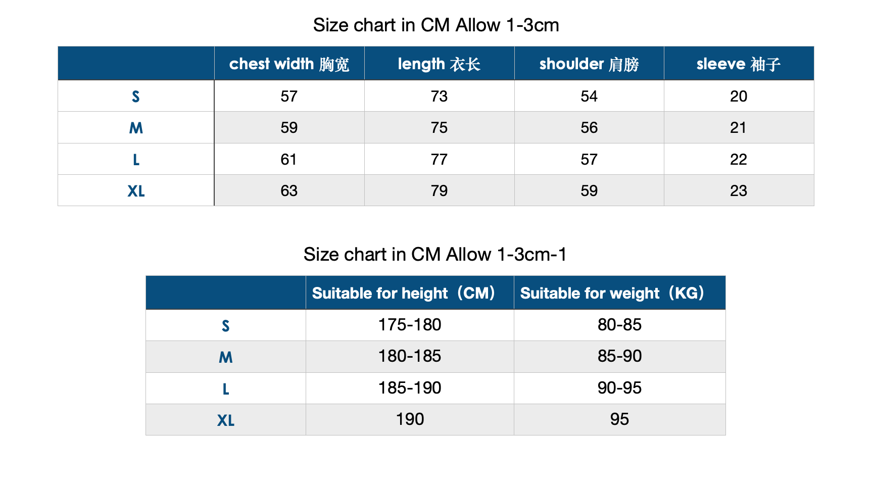 83_108 REPRE SENT T-shirt