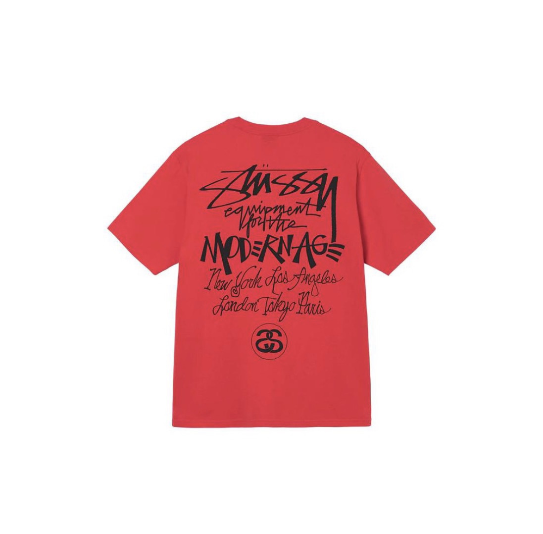 13_Stussy T-shirt