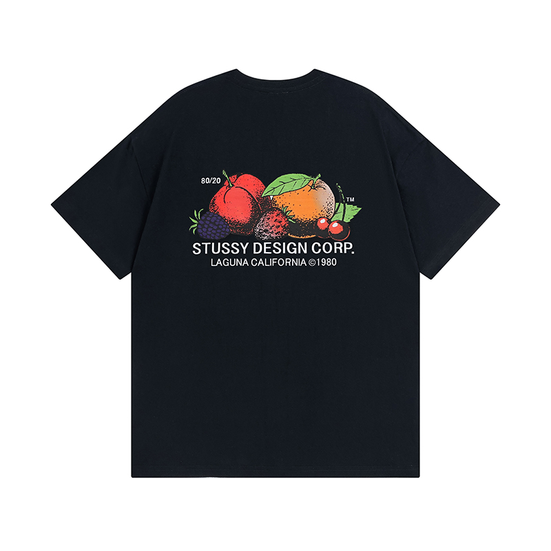 70_Stussy T-shirt