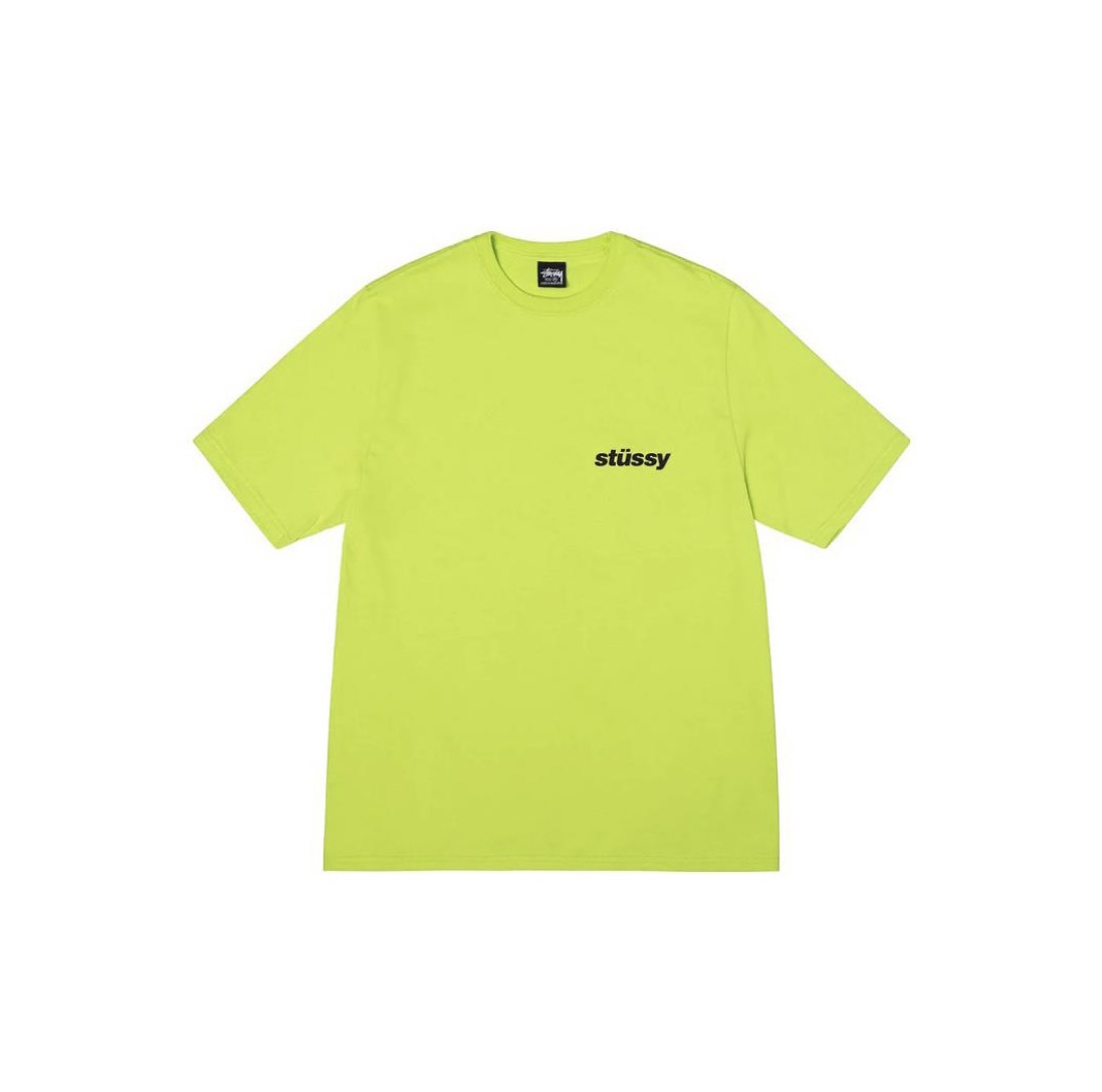 25_Stussy T-shirt