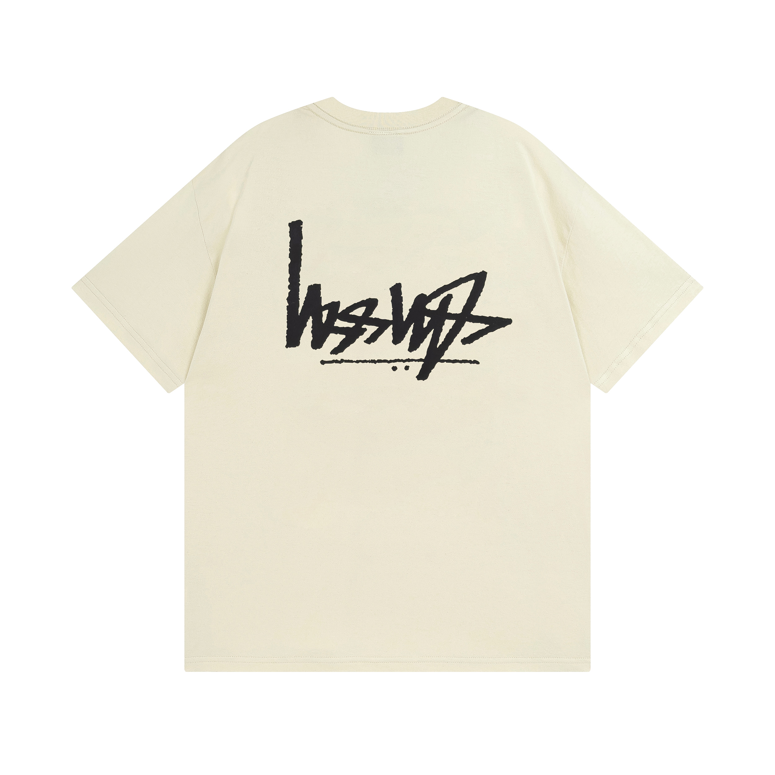 100_Stussy T-shirt
