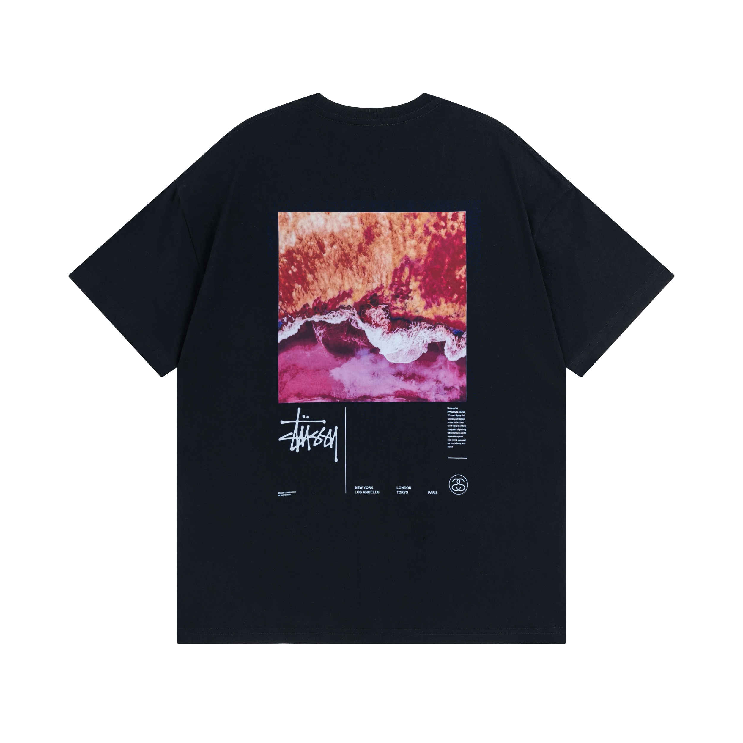 117_Stussy T-shirt