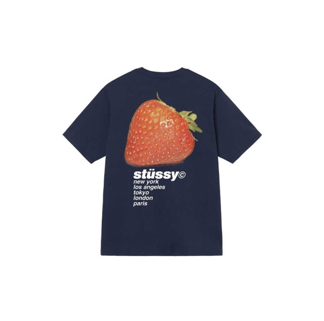 26_Stussy T-shirt