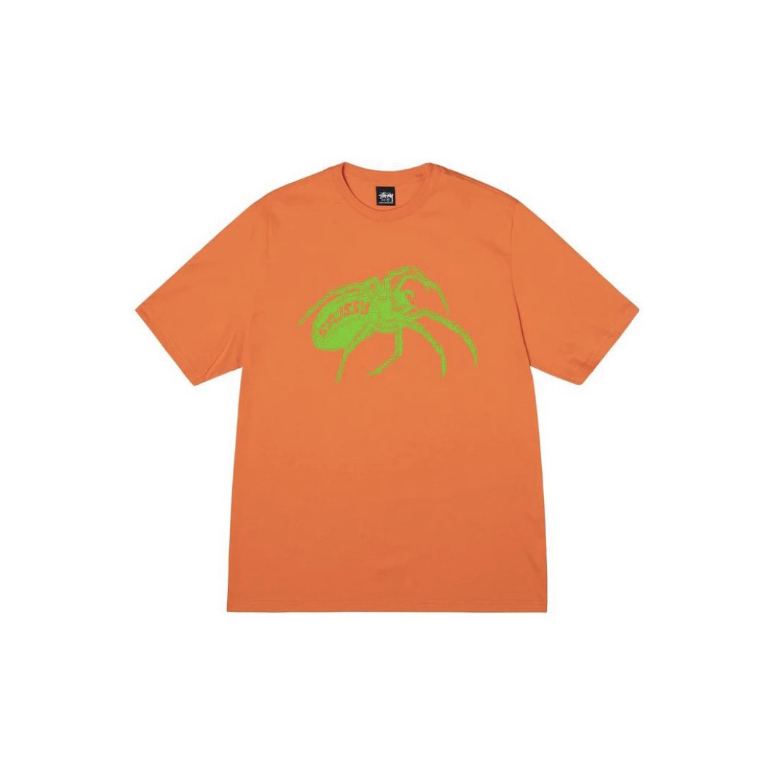 31_Stussy T-shirt