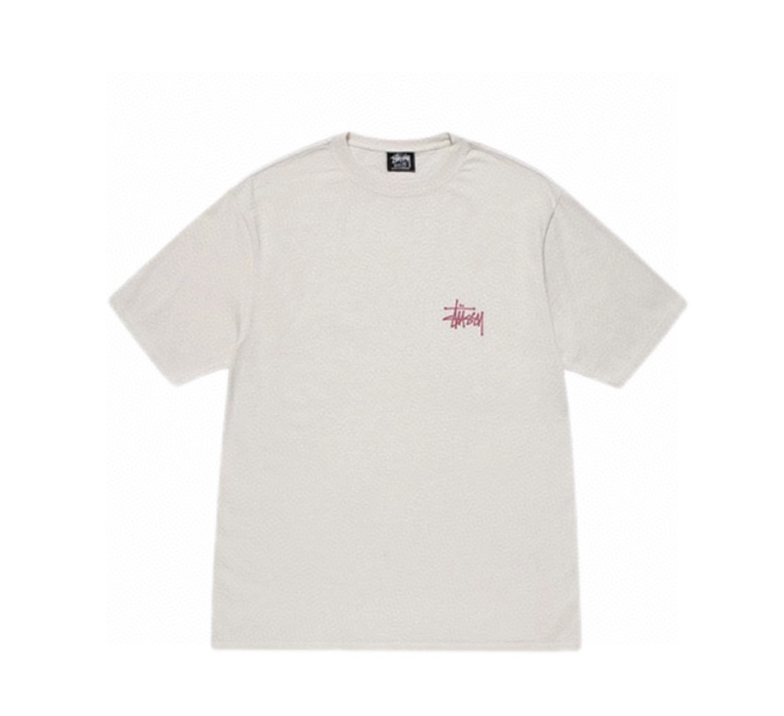 19_Stussy T-shirt