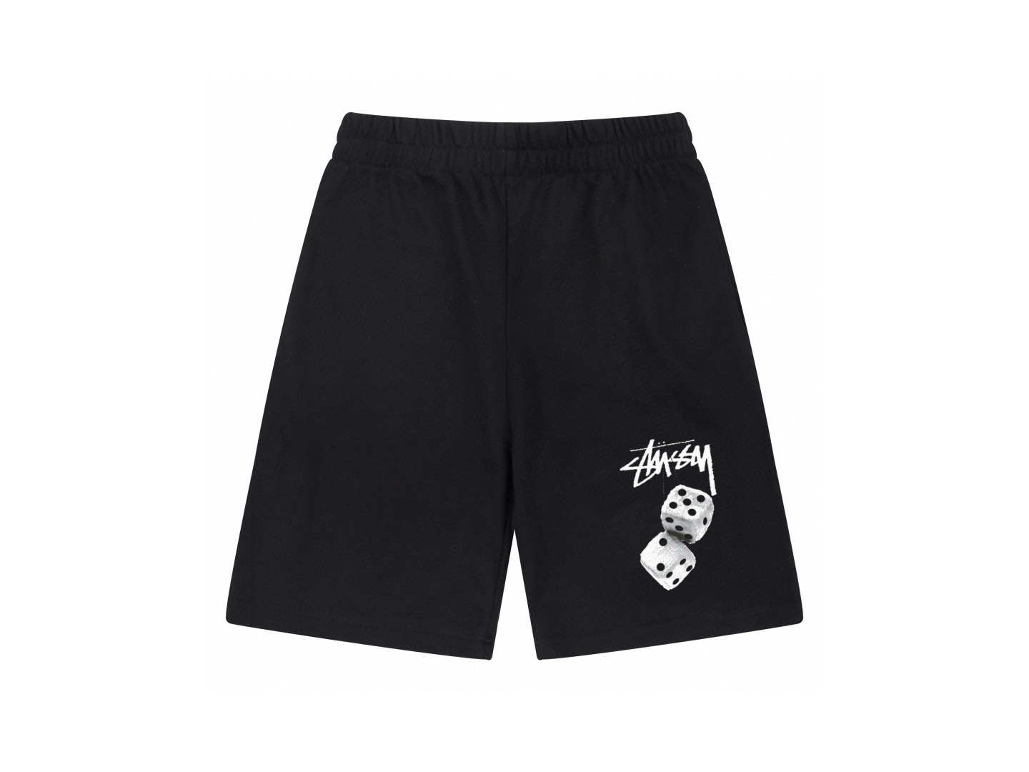 12_Stussy Shorts