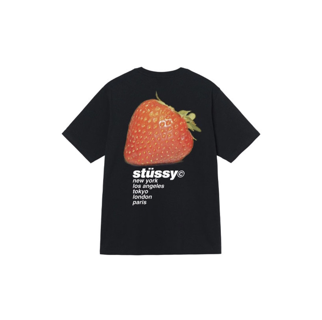 26_Stussy T-shirt