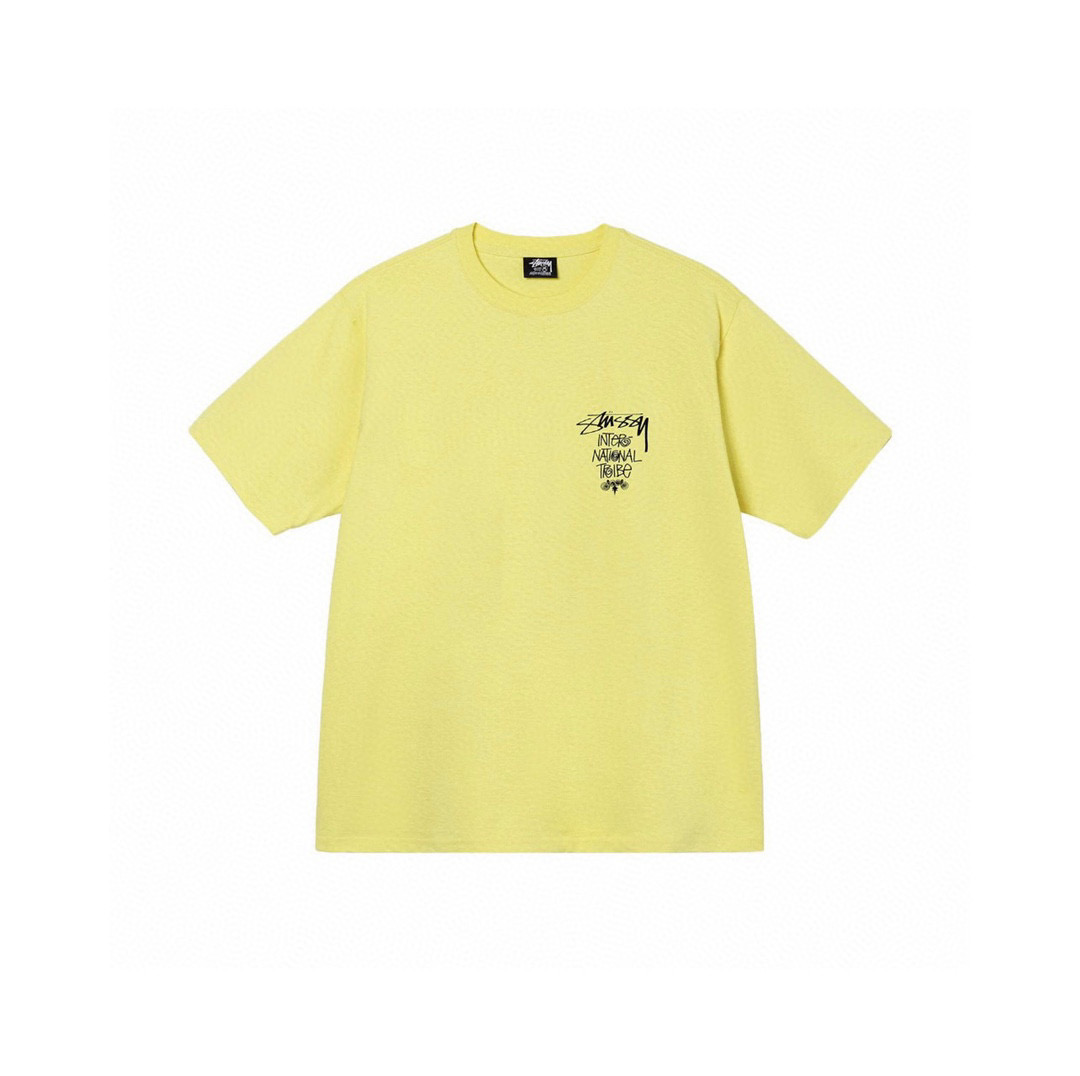 73_Stussy T-shirt