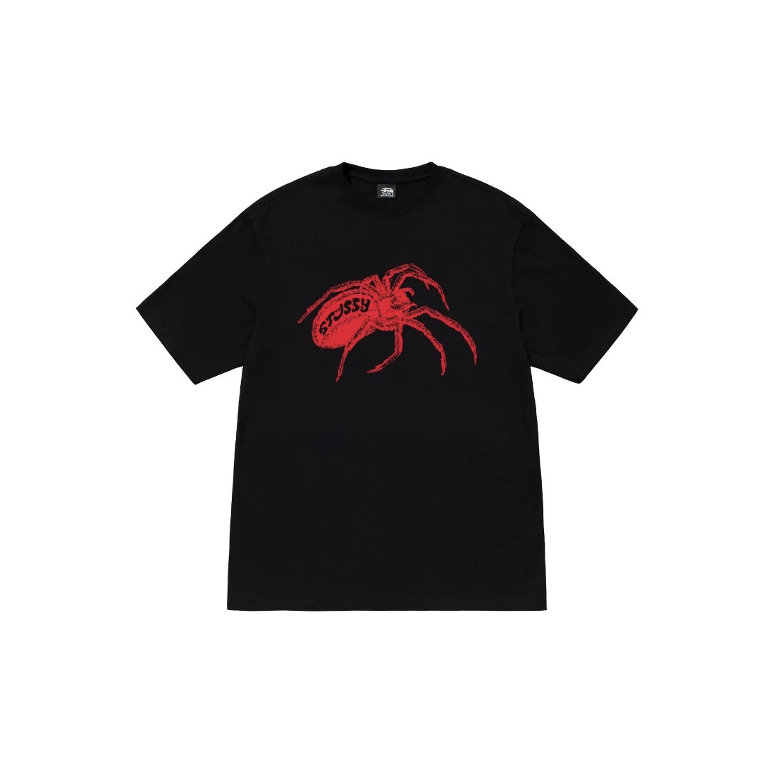 31_Stussy T-shirt