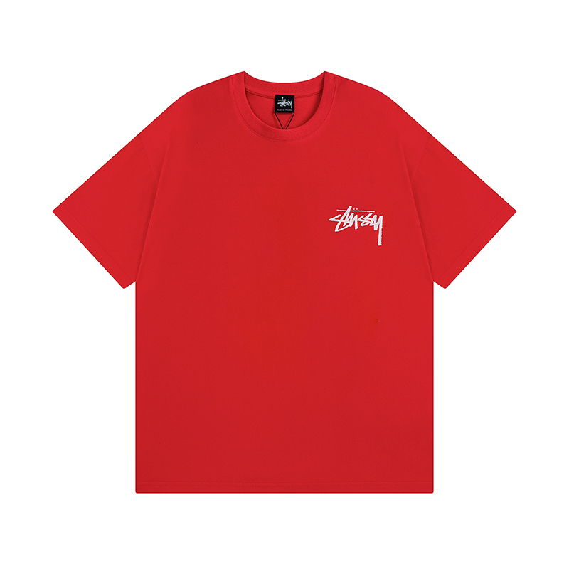 89_Stussy T-shirt