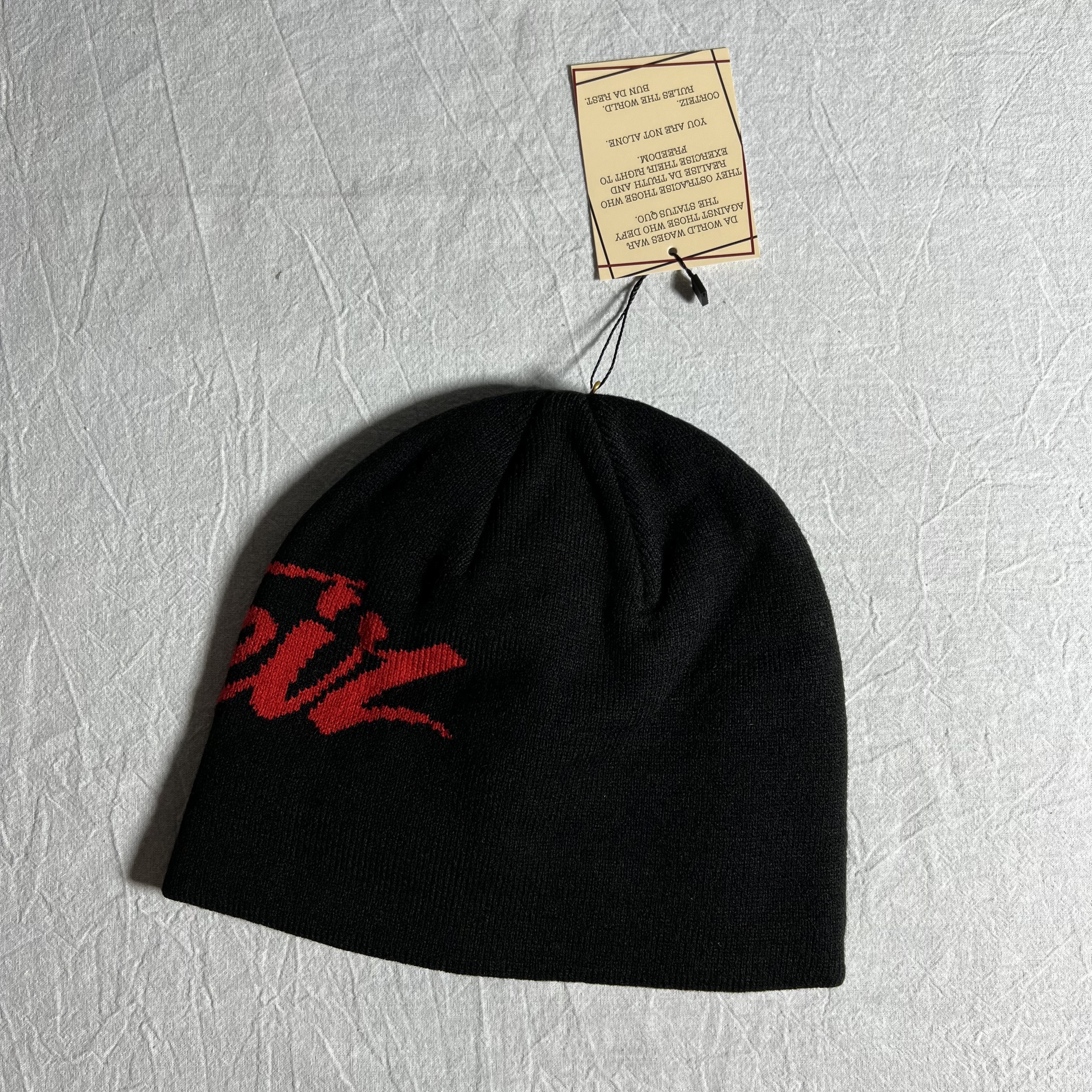 38_ CT1Z Beanie