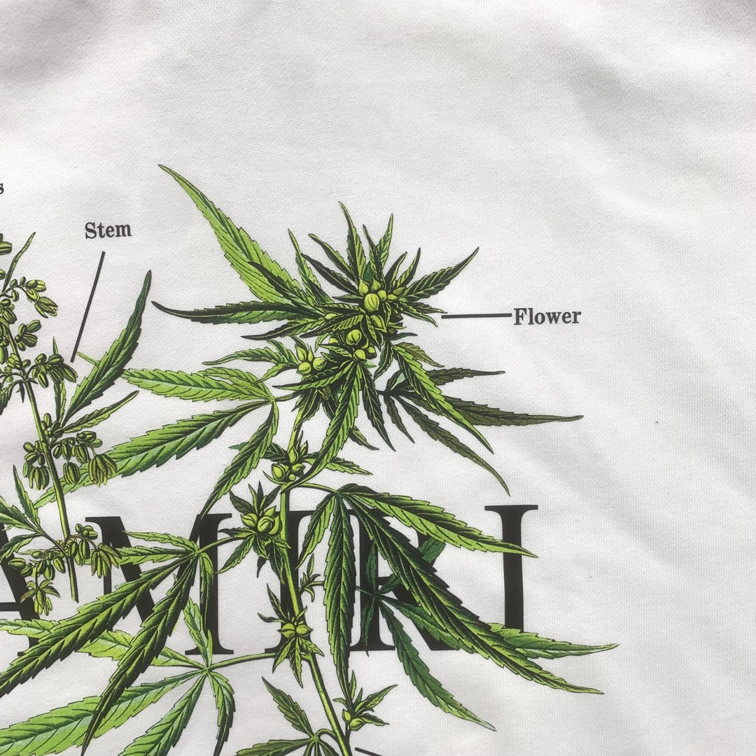 105_155    AMIRI  Hoodie