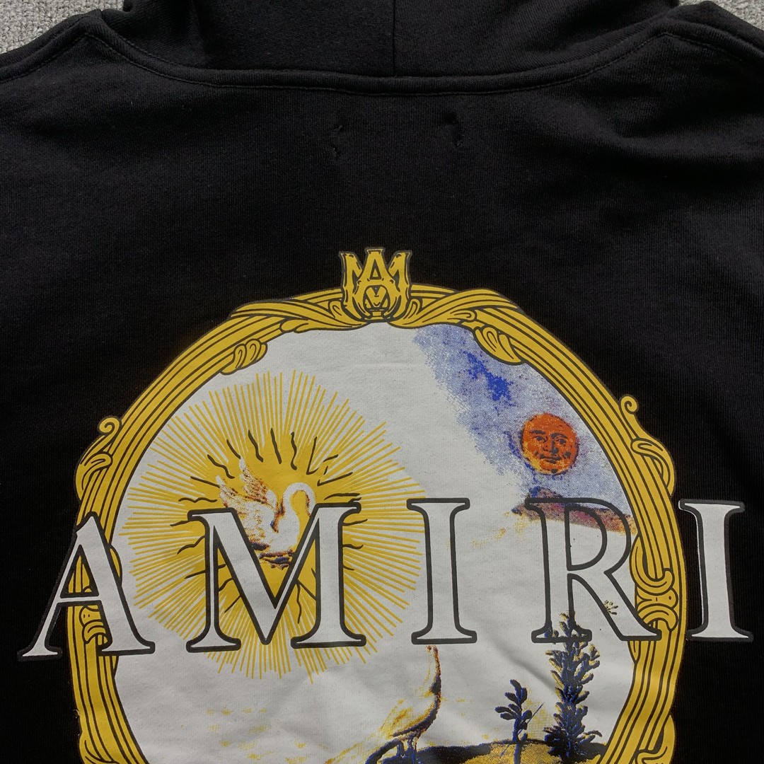 47_248 Amiri Hoodie