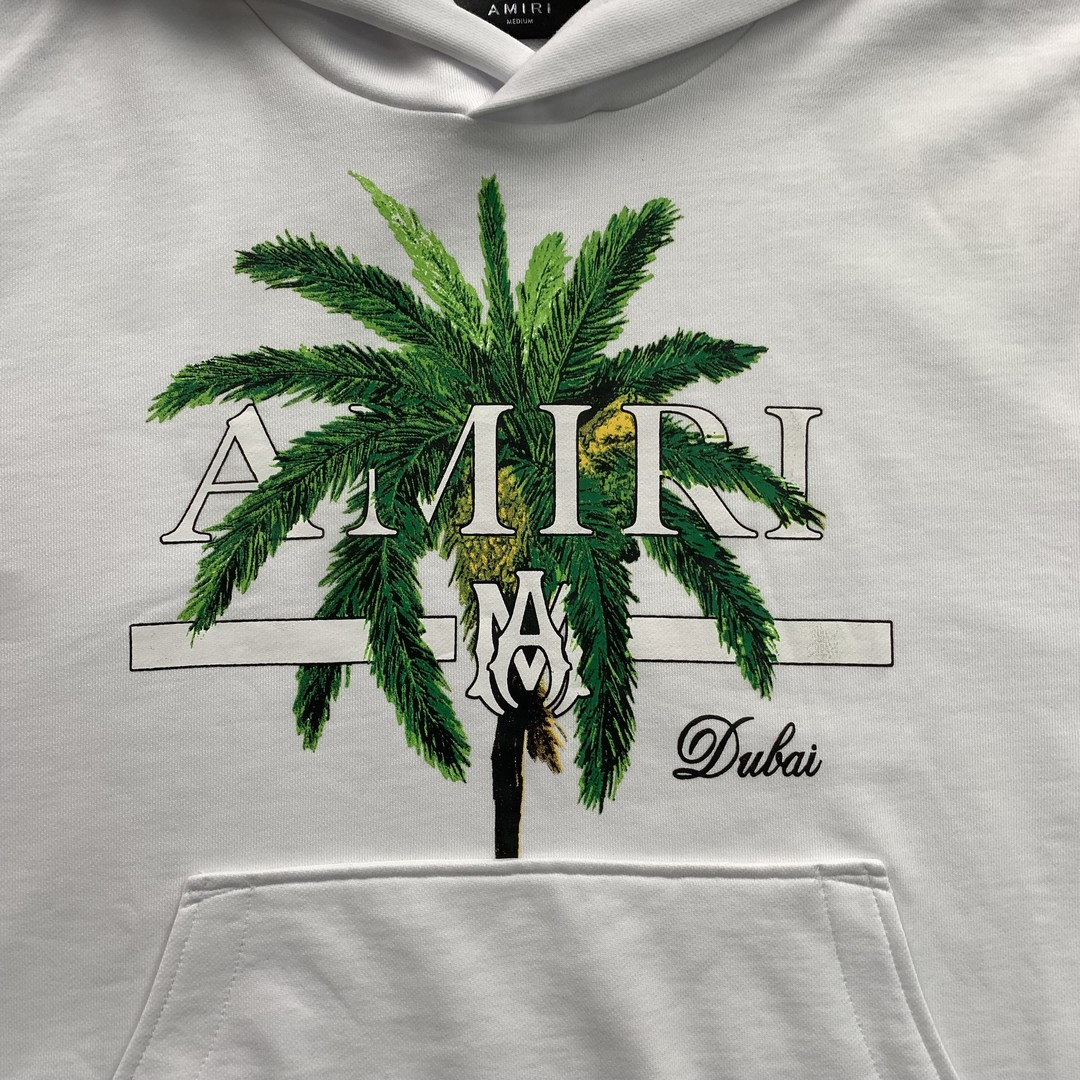 48_248 Amiri Hoodie