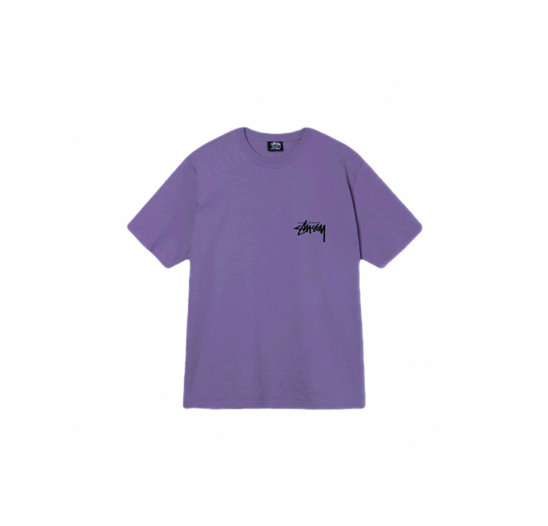 58_Stussy T-shirt