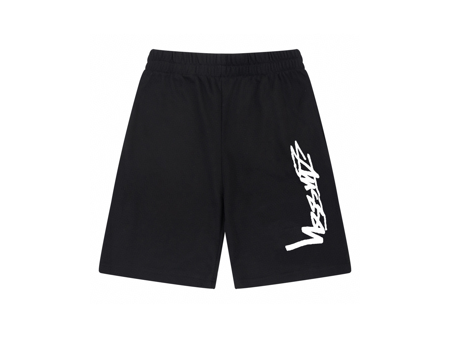13_Stussy Shorts