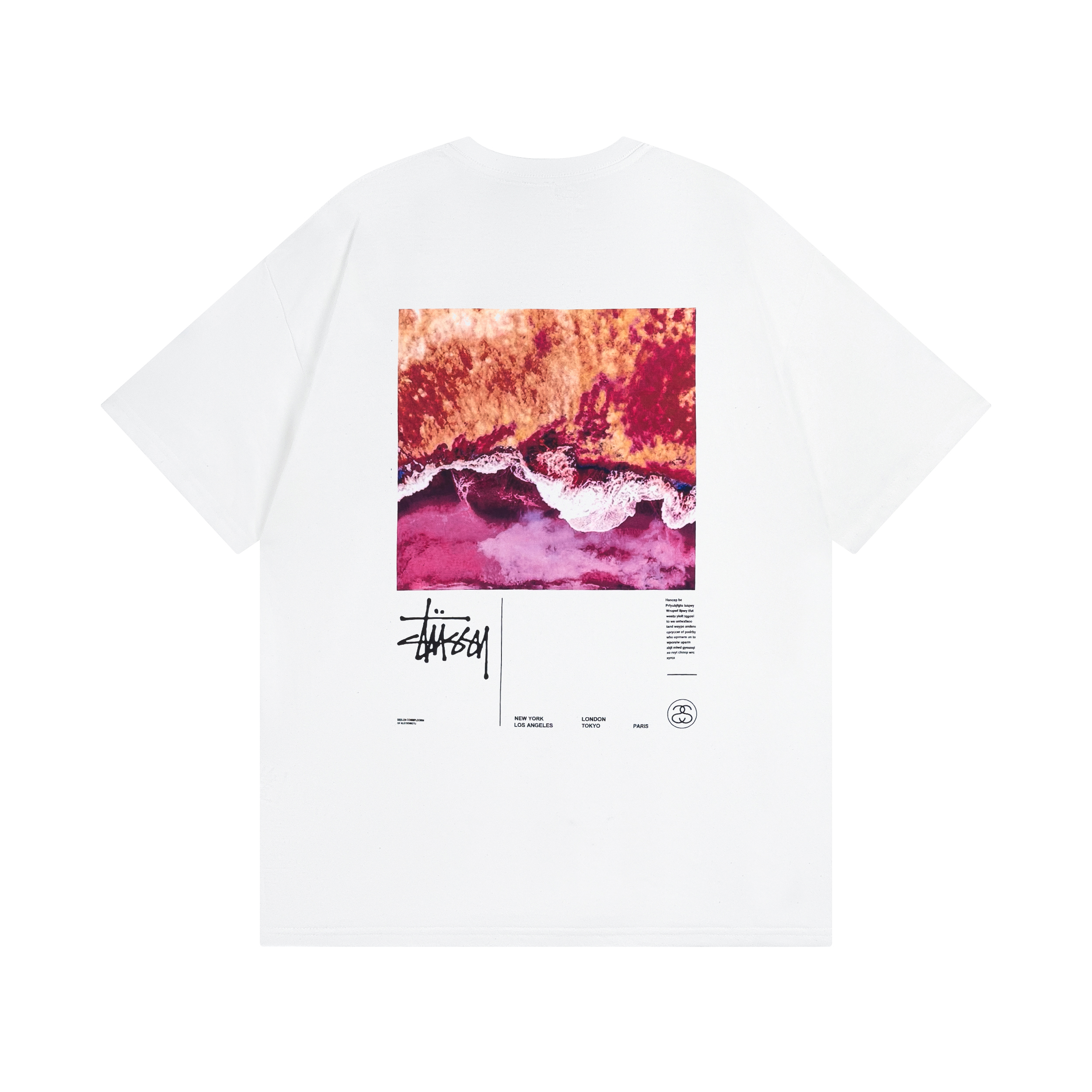 117_Stussy T-shirt